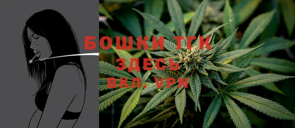 эйфоретик Аркадак
