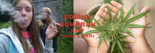 эйфоретик Аркадак