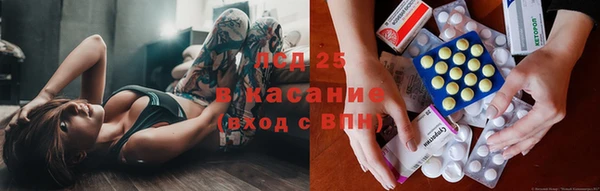 эйфоретик Аркадак