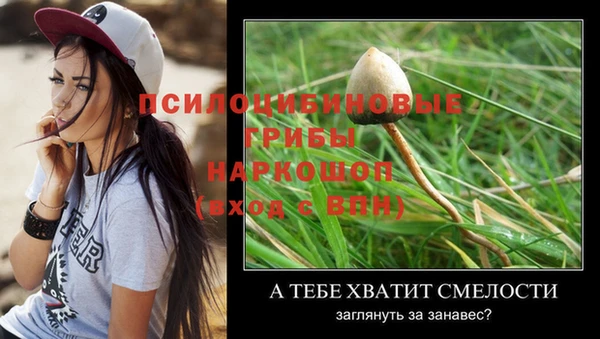 эйфоретик Аркадак