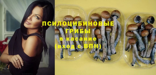 круглые Арсеньев