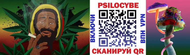 магазин продажи Фатеж Галлюциногенные грибы MAGIC MUSHROOMS